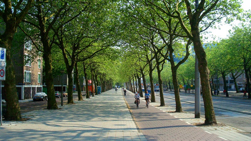 Ciclovia na Holanda