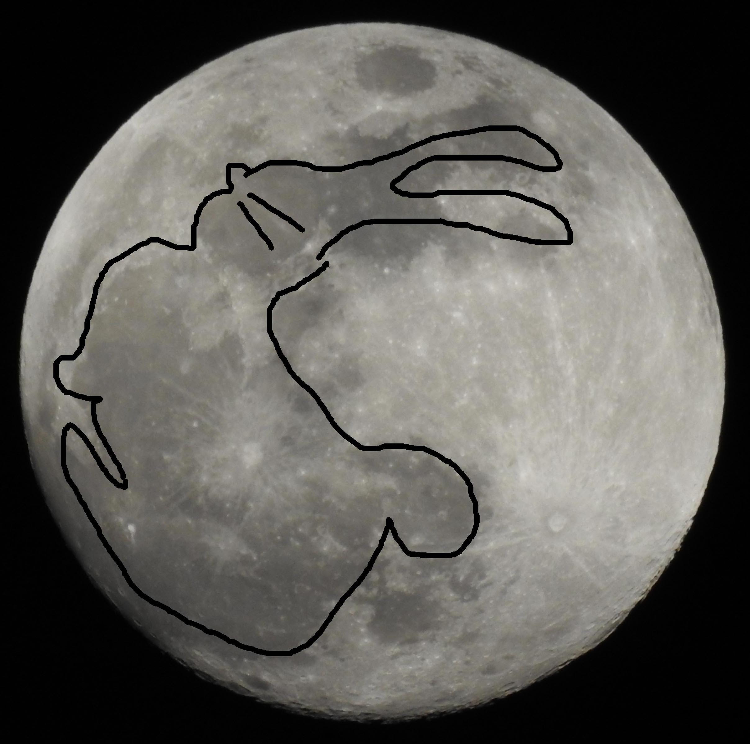 Rabbit Moon - by Julie Tennis - Postcards from Planet Earth