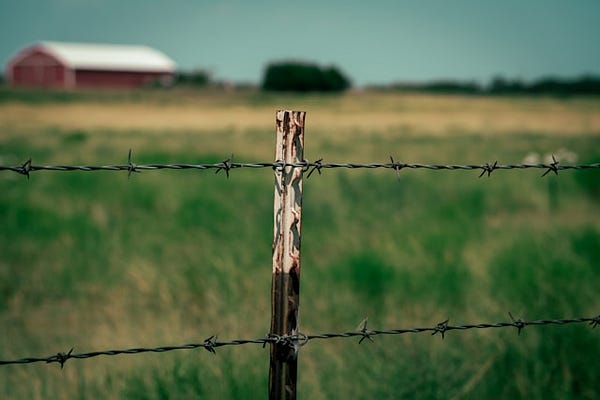 The Second Sentence | Elisabeth Grace Foley | Substack