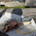 The Instagramification of…sardines?