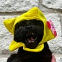 Madison's avatar