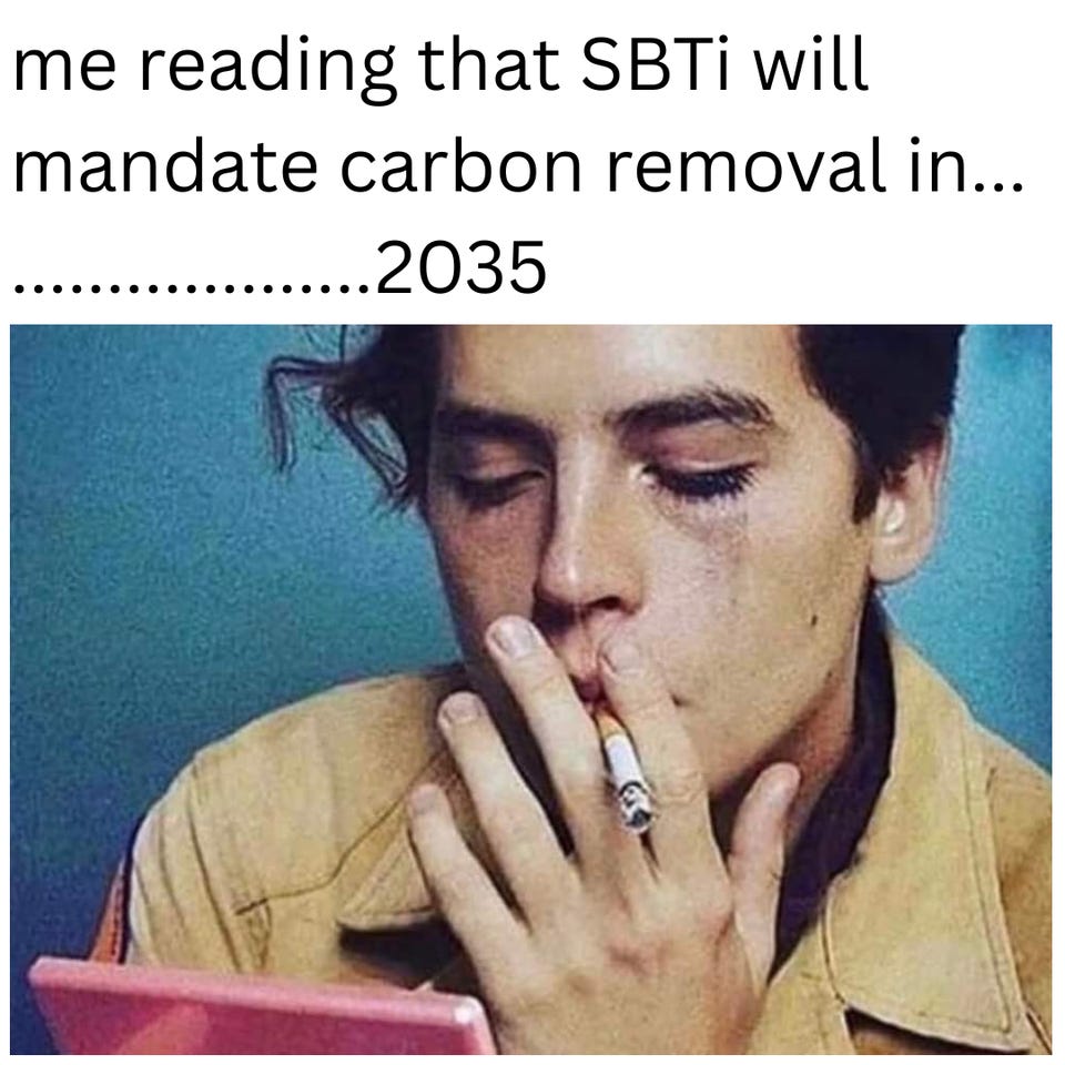 "me reading that SBTi will mandate carbon removal in... ..........2035" above a young man crying while smoking a cigarette.