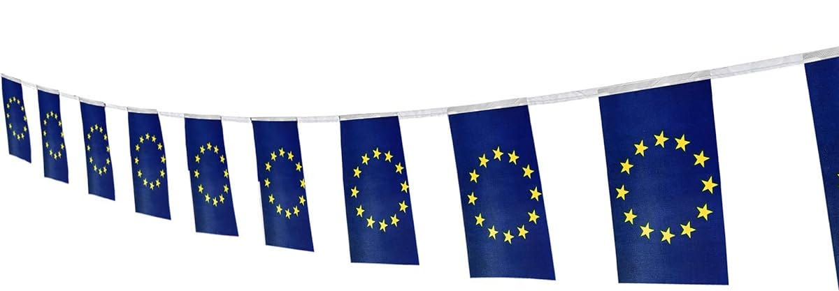 洋書 The European Union: How does it work? Amazon.com: The European Union: How does it work