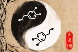 dopamine yin yang