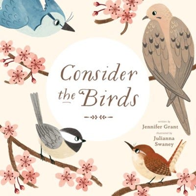 The cover of Consider the Birds by Jennifer Grant. It has several birds on the cover with pink flowers interspersed around them and the title text. The cover of Consider the Birds by Jennifer Grant. It has several birds on the cover with pink flowers interspersed around them and the title text.