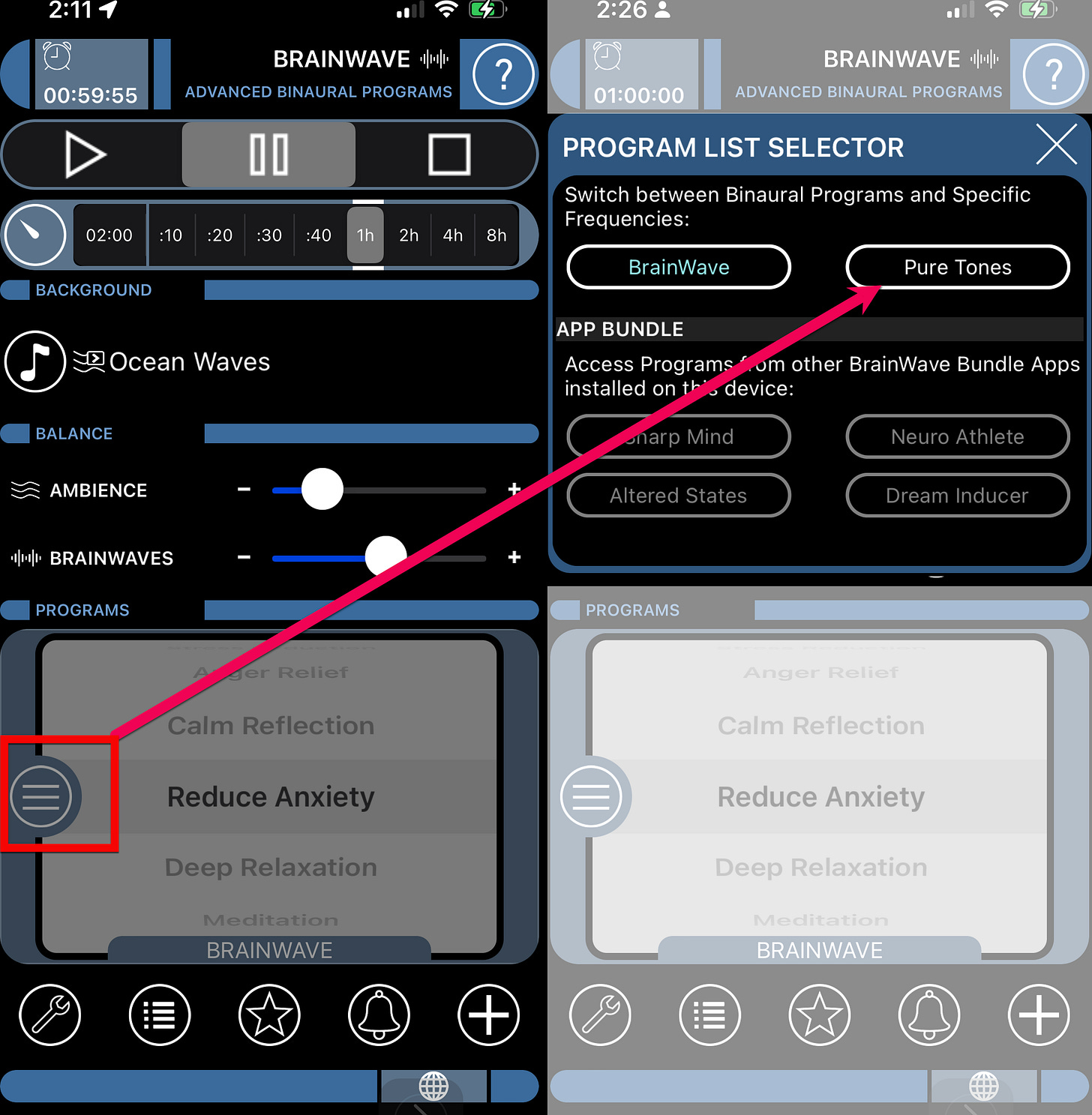 Where to set Brainwave Pure Tones