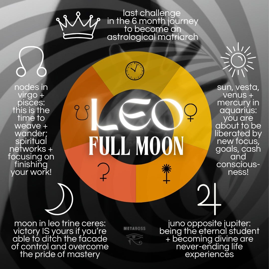 Full Moon in 12º Leo | February 1, 2026