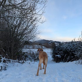 Winter joy list
