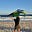 El viento me despeina's avatar
