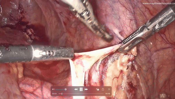Screen Recording 2023-09-27 at 1.04.32 PM.mov [video-to-gif output image]