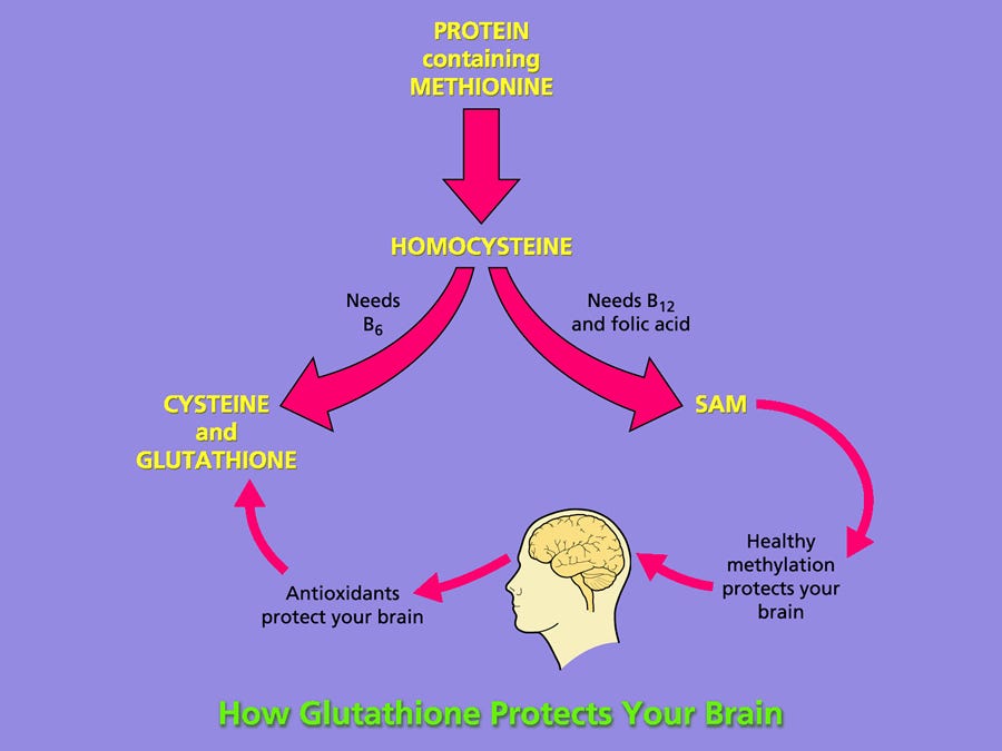 What's Vitamin B6 and Glutathione got to do with Methylation? - Food for  the Brain