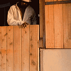 What's A Dickfor? Tabs, Thurs., July 9, 2026