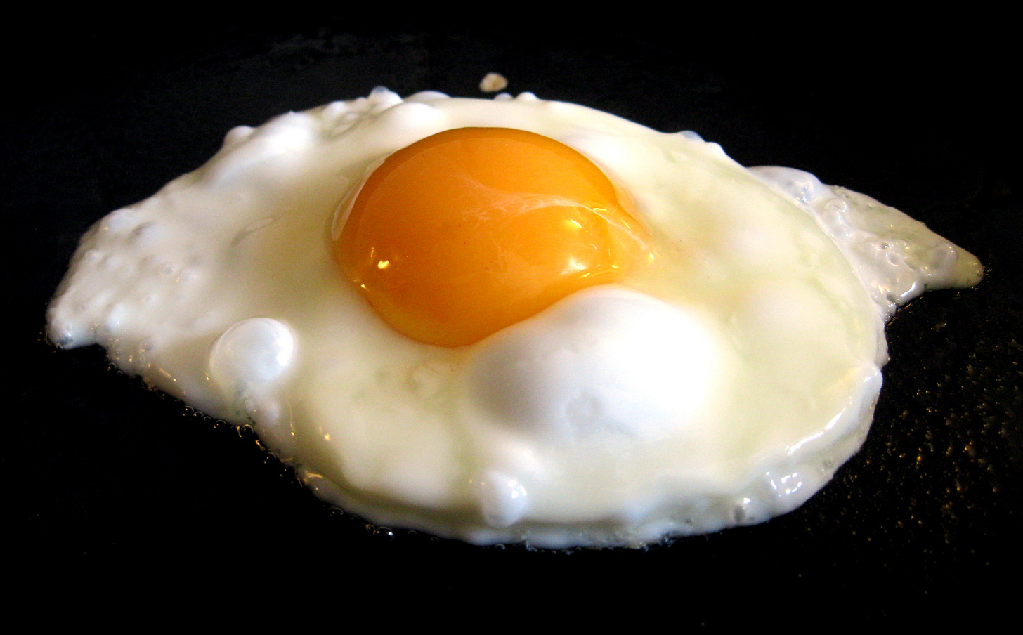 An egg frying sunny-side up on a black hot plate.  (Photo by Matthew Murdoch - https://www.flickr.com/photos/54423233@N05/13916201522/, CC BY 2.0, https://commons.wikimedia.org/w/index.php?curid=81628288)