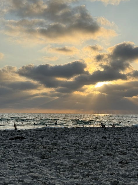 Two photographs of the Pacific Ocean at sunset, plus one of Trixie looking back along the cliff-lined beach