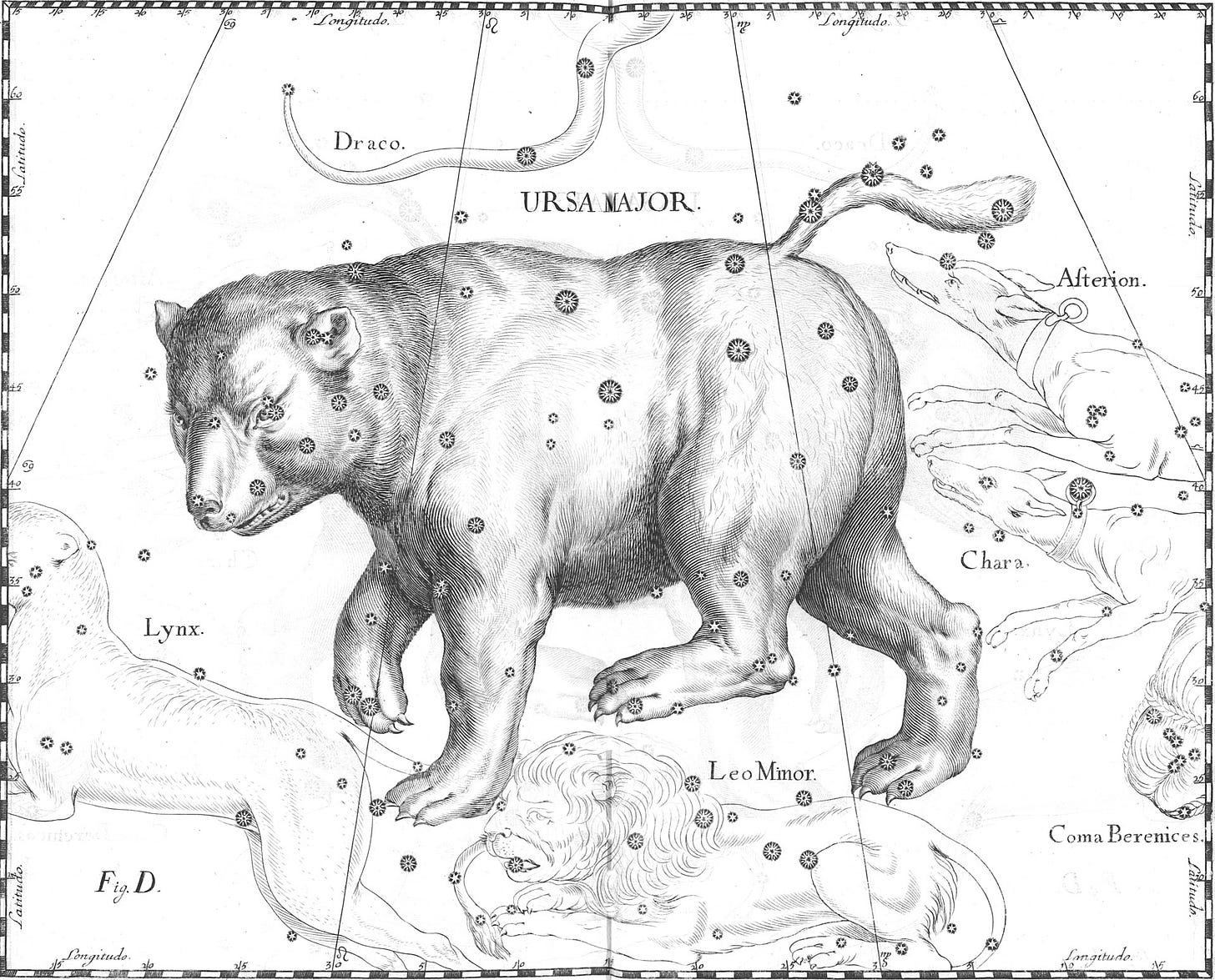 Johannes Hevelius drew Ursa Major as if being viewed from outside the celestial sphere.