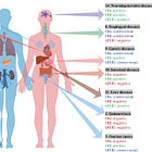 HOW DOES ESTROGEN ENHANCE ENDOTOXIN TOXICITY? LET ME COUNT THE WAYS