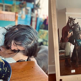 hold steady, right here