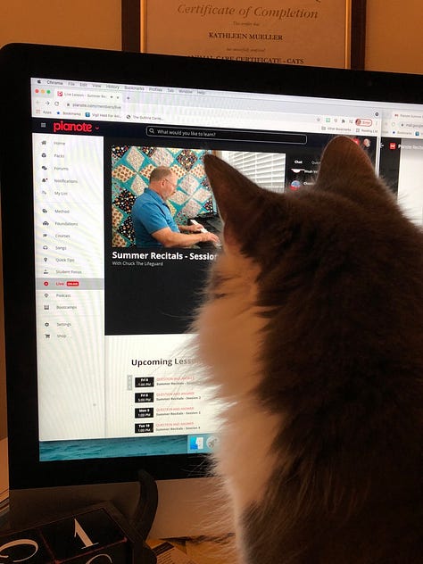 Newman's favorite poses & sleeping areas