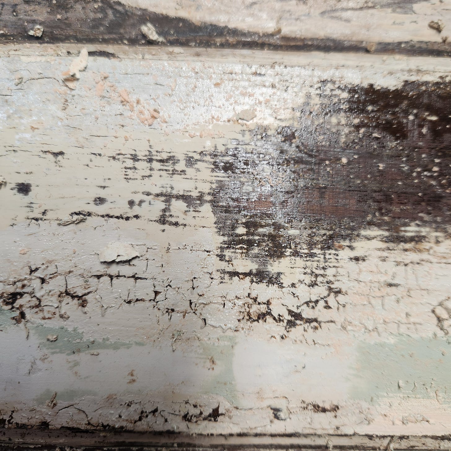 close up of the paint layers on an old door that is being stiped. Visible are blues, greens, cream, white, and the original wood