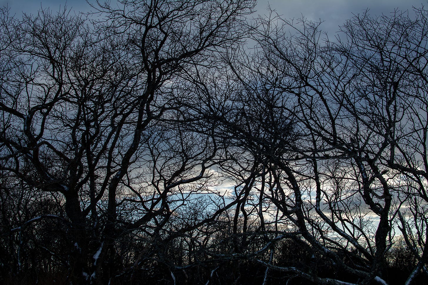 Night Time Is the Right Time #22