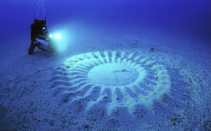 A Stunning Artwork by the Japanese Puffer Fish – BBC Life | Natural History  Nature Documentary