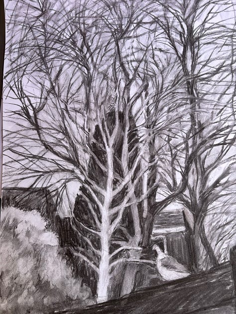 A3 Charcoal and A4 pastel drawings