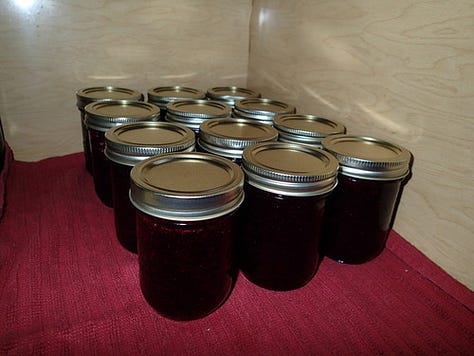 Fresh vegetables, dehydrated watermelon, soup, pasta salad, dried cherries, homemade pesto, roasted sweet potatoes and a dozen jars of jam.