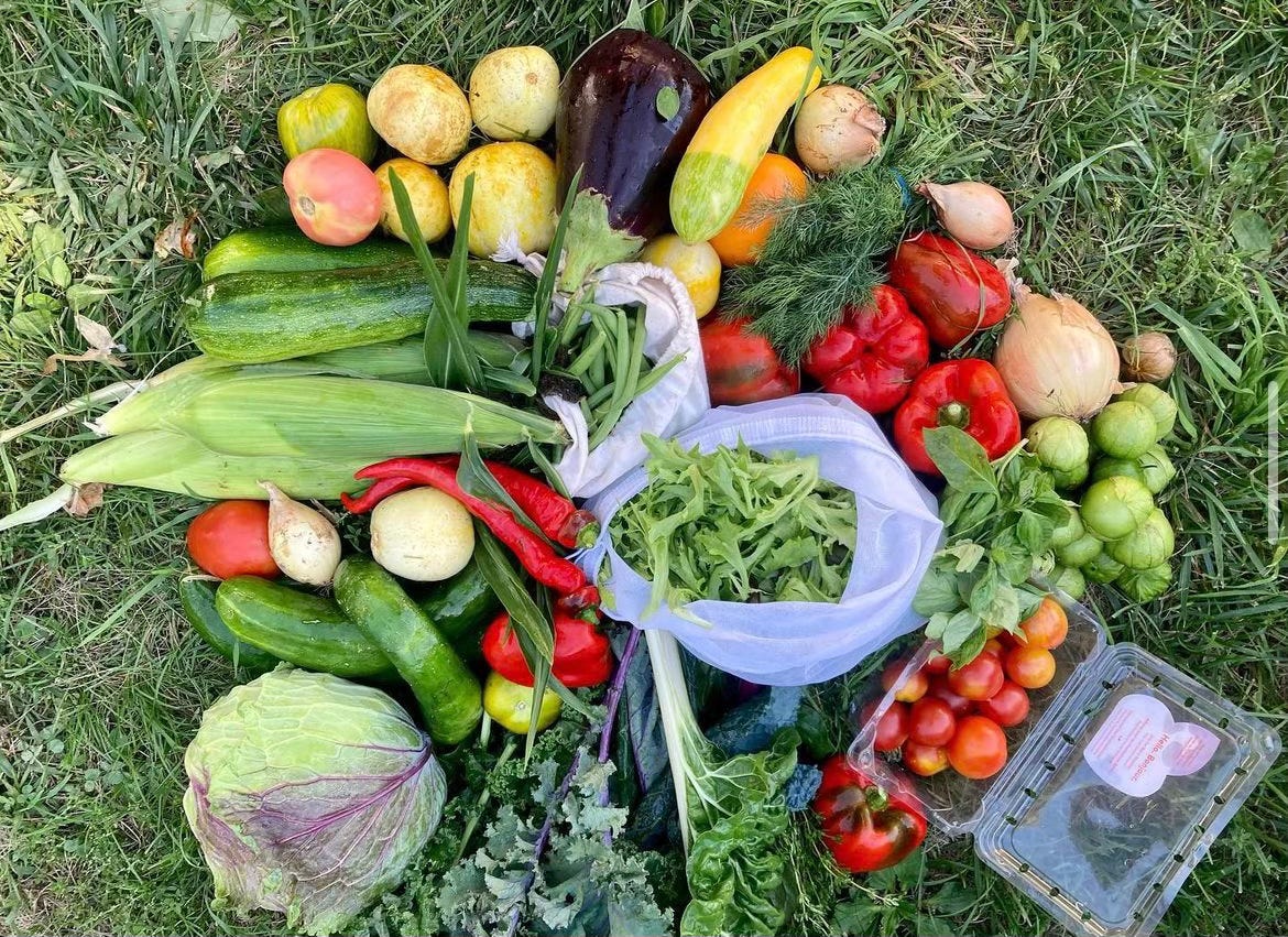 photo of a variety of vegetables in the grass
