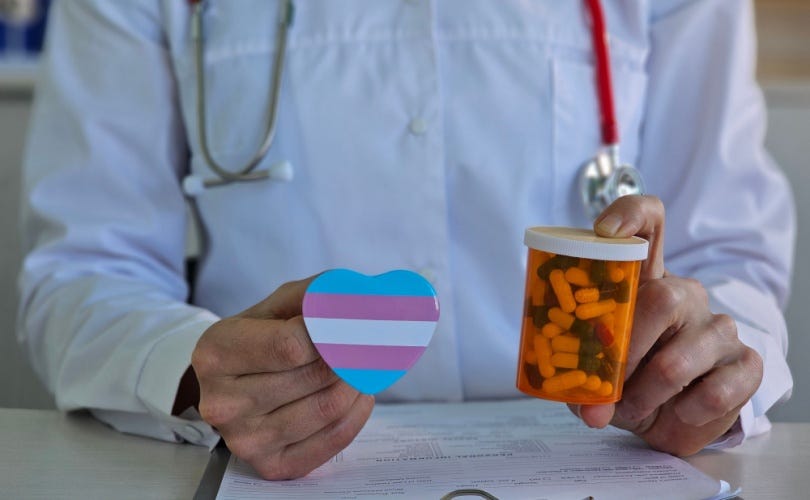 Top Canadian intelligence official called critics of gender ideology a 'violent threat' in 2023 report