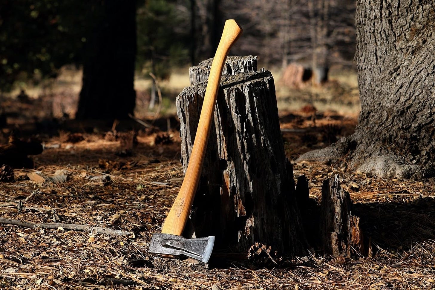What Is The Best Axe For Chopping Wood at John Richard blog