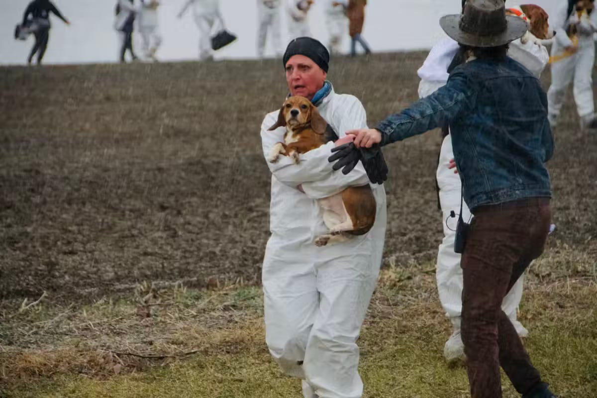 A rescuer carries a beagle across a frozen field. For many of these dogs, it was the first time being outside.