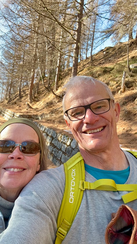Left image, a south-facing, forested alpine slope as viewed from a village. It's winter, and the sunlit larch forest has shed all needles, the trees winter brown. Snow lies between the chalet-style apartment buildings in the foreground. The sky is blue.; middle image; an elderly couple smile for a selfie in an alpine larch forest. It's winter, the trees are bare and their fallen needs cover the ground. The couple's faces are half in shadows, half sun-lit.; right image, a track climbing through an aline, larch forest. The trees have shed their needles, which cover the track. A single hiker makes his way up the track in sunshine and shadows cast by the trees. The sky is a clear blue.