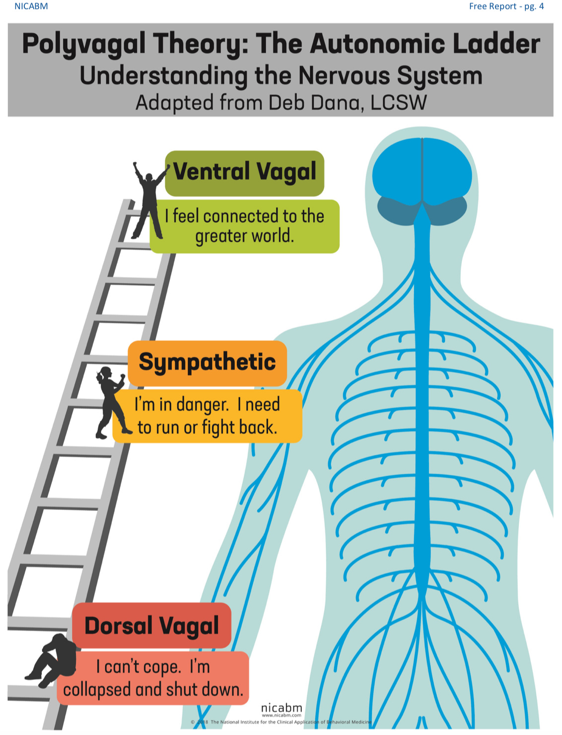 SCIplanet - The Polyvagal Theory