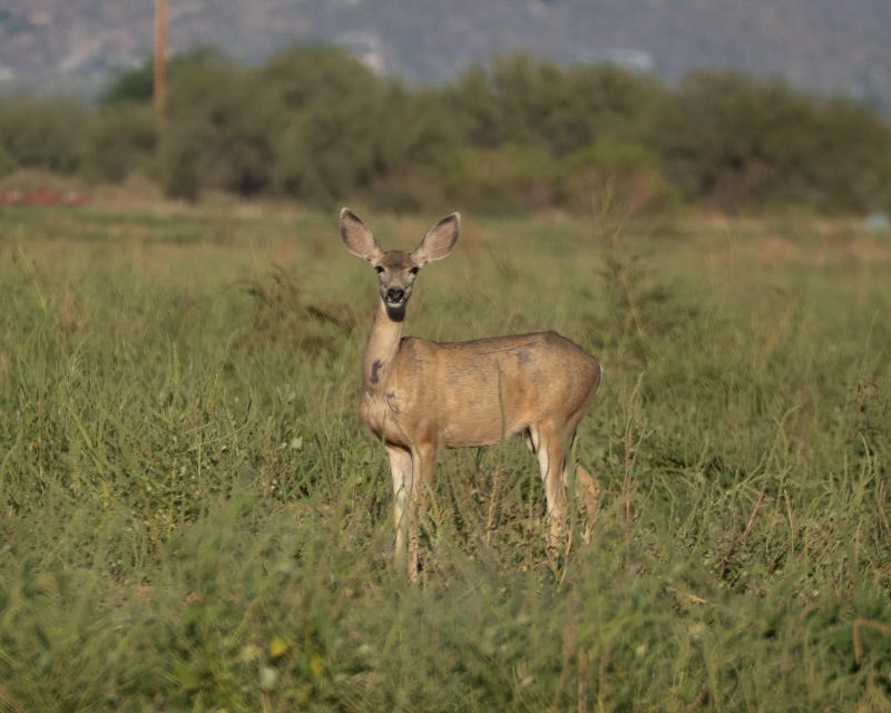 20250930-Manville-378-Edit-Edit.jpg
