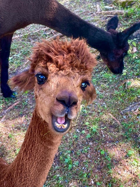 All smiles.