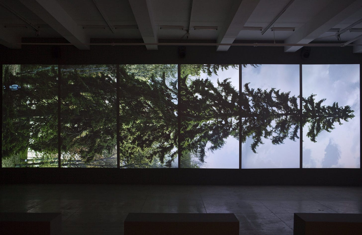 Eija-Liisa Ahtila — Horizontal – Vaakasuora [2011].