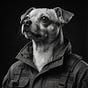 Omer's avatar