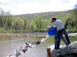 Fall 2023 Trout Stocking to Begin ...