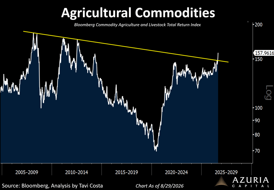 The image shows a downward trend in the Bloomberg Commodity Agriculture and Livestock Total Return Index from 2005 to 2024.

AI-generated content may be incorrect.