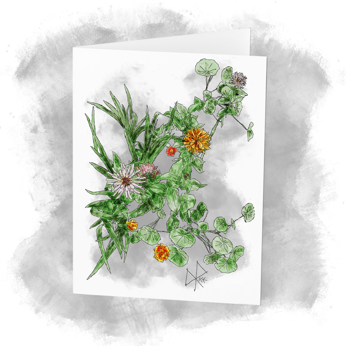 Zinnia, marigold and nasturtium flowers in a front garden. Sketch art by Don Rice. Zinnia, marigold and nasturtium flowers in a front garden. Sketch art by Don Rice.