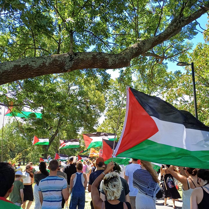 1: The backs of marchers, with Palestinian flags pulled taut by the wind under blue skies and broad trees. 2: A sign that reads STOP KILLING DOCTORS in the background. Foreground are silhouettes representing dead health workers.