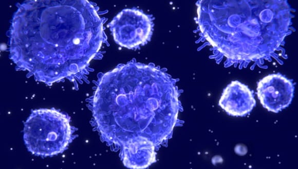 6 Ways to Boost Your Immune System | Houston Methodist On Health