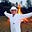 Jimmy Jones's avatar
