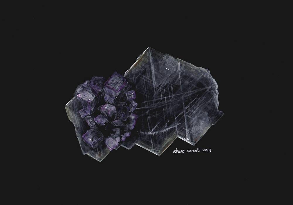 No photo description available.