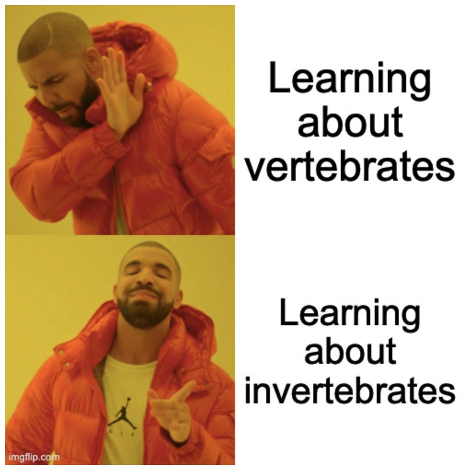 Alex Smith on Twitter: "Some students couldn't help but use their #memes to  compare the invertebrate to vertebrate. Lots of invert love expressed! 9/17  https://t.co/ZMRDR1OvLX" / Twitter