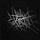 X avatar for @itinerantfog