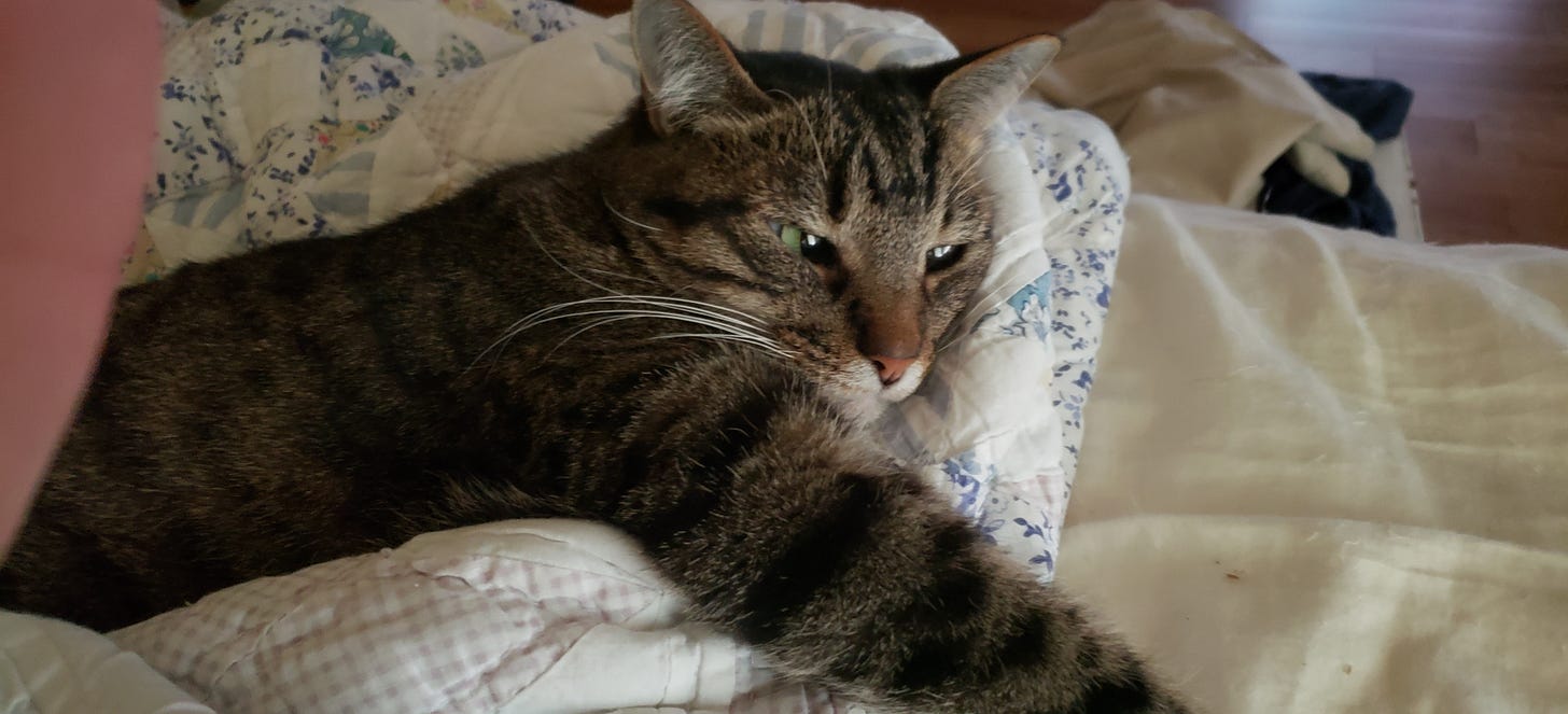 Wynnifred Snuggled Up