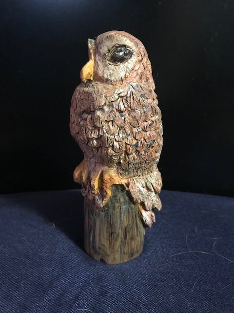 Owl by Janet Wolfinger 2012