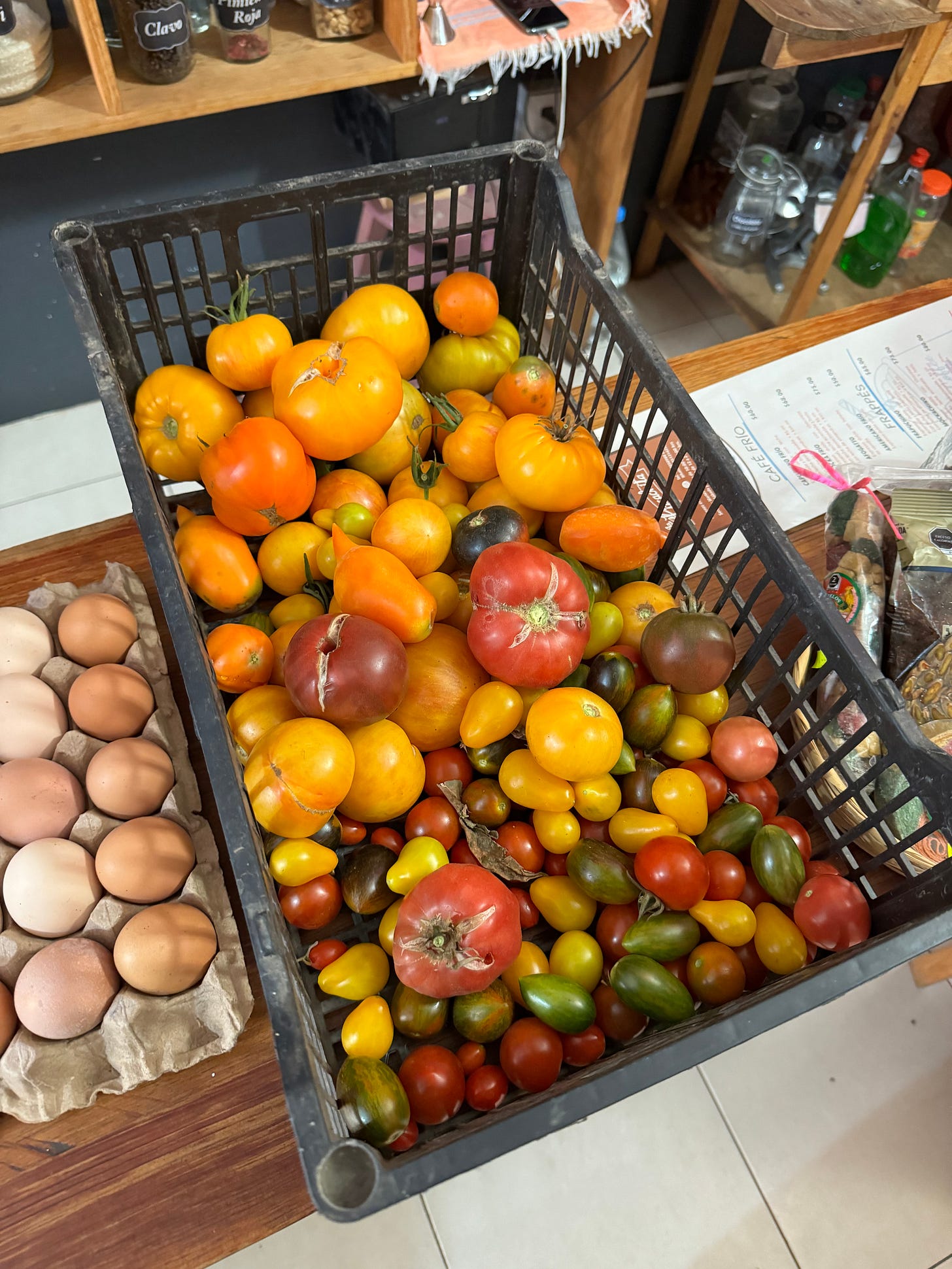 A large plastic crate filled with tomatoes.
