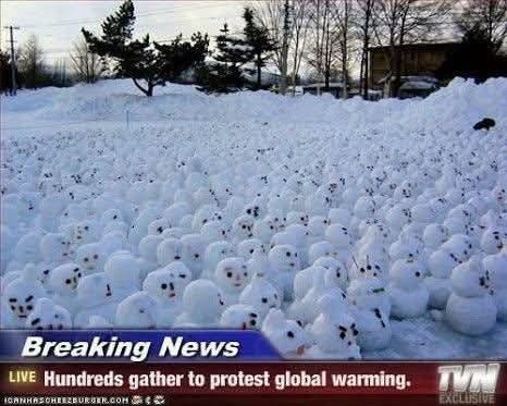 May be an image of snowball, arctic and text